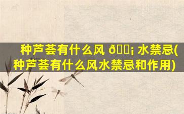 种芦荟有什么风 🐡 水禁忌(种芦荟有什么风水禁忌和作用)